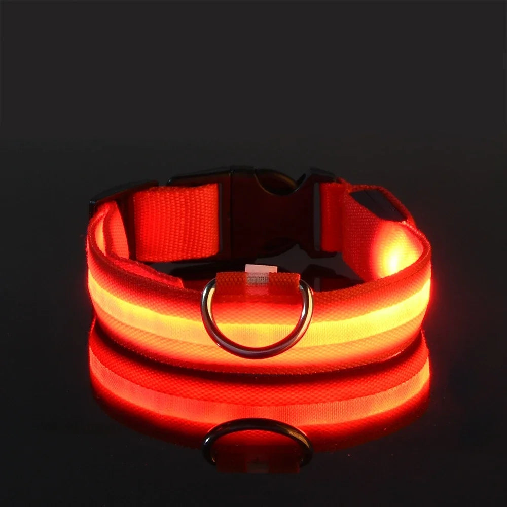Pet Collar Nylon LED Night