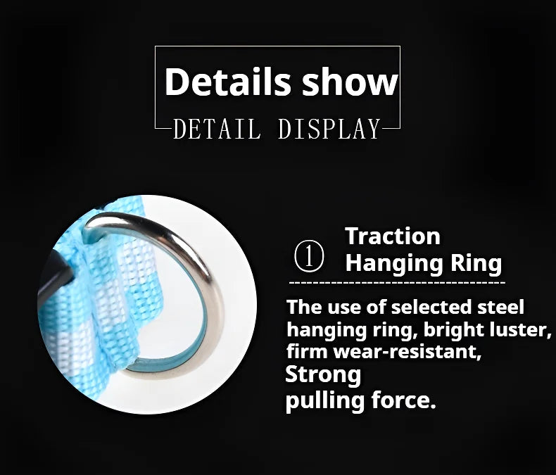 Pet Collar Nylon LED Night