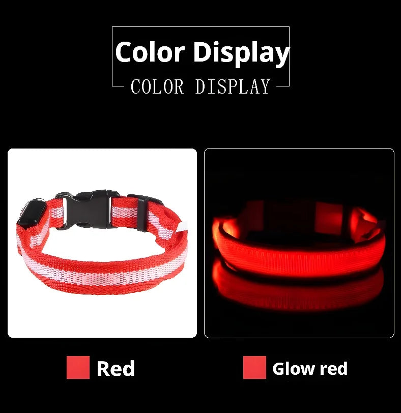 Pet Collar Nylon LED Night