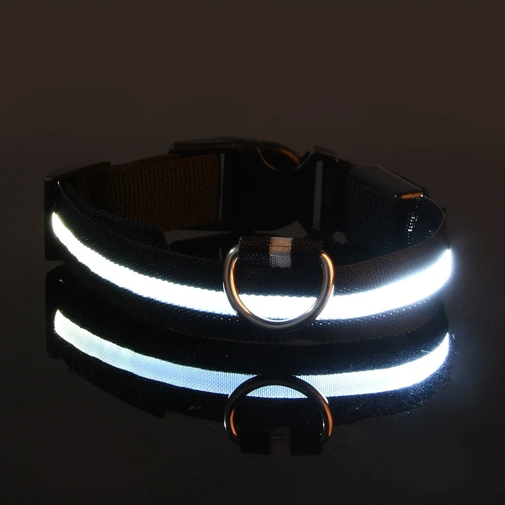 Pet Collar Nylon LED Night