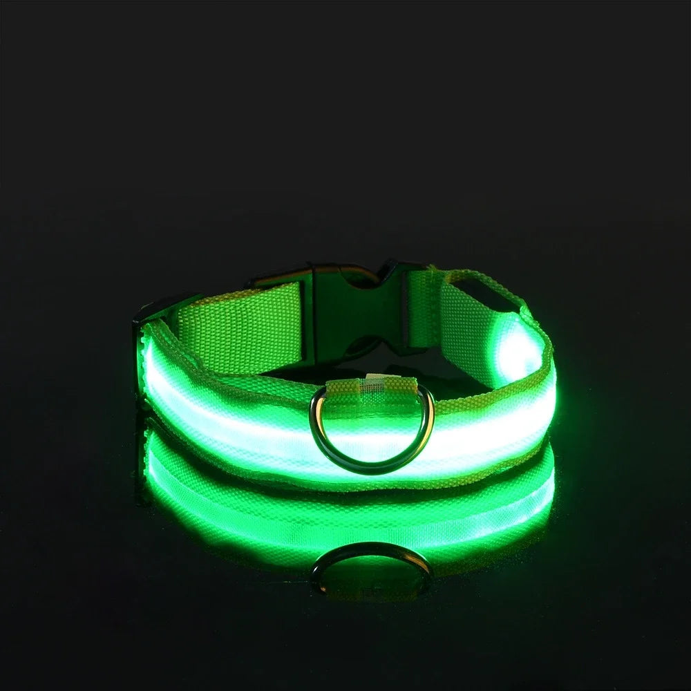 Pet Collar Nylon LED Night