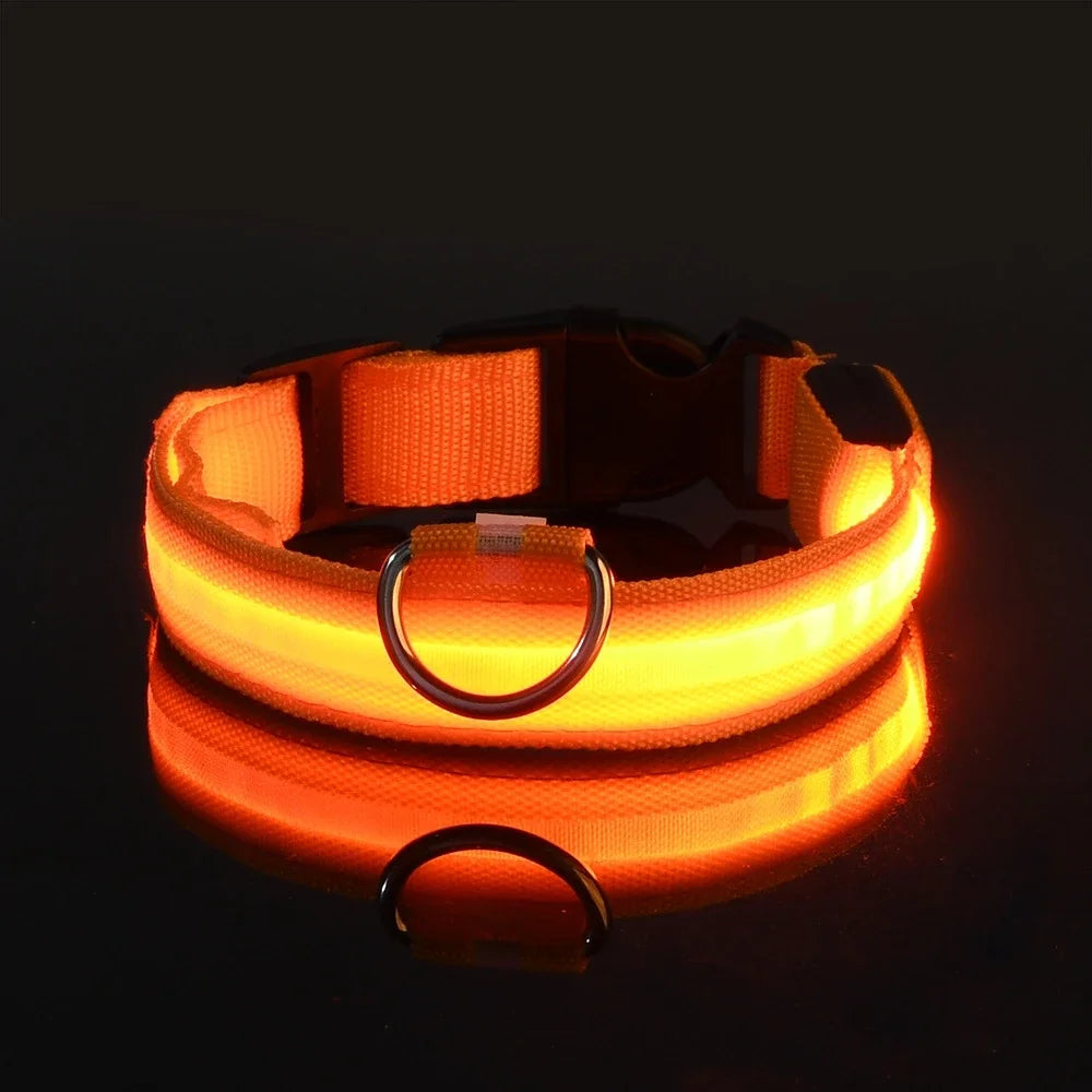 Pet Collar Nylon LED Night