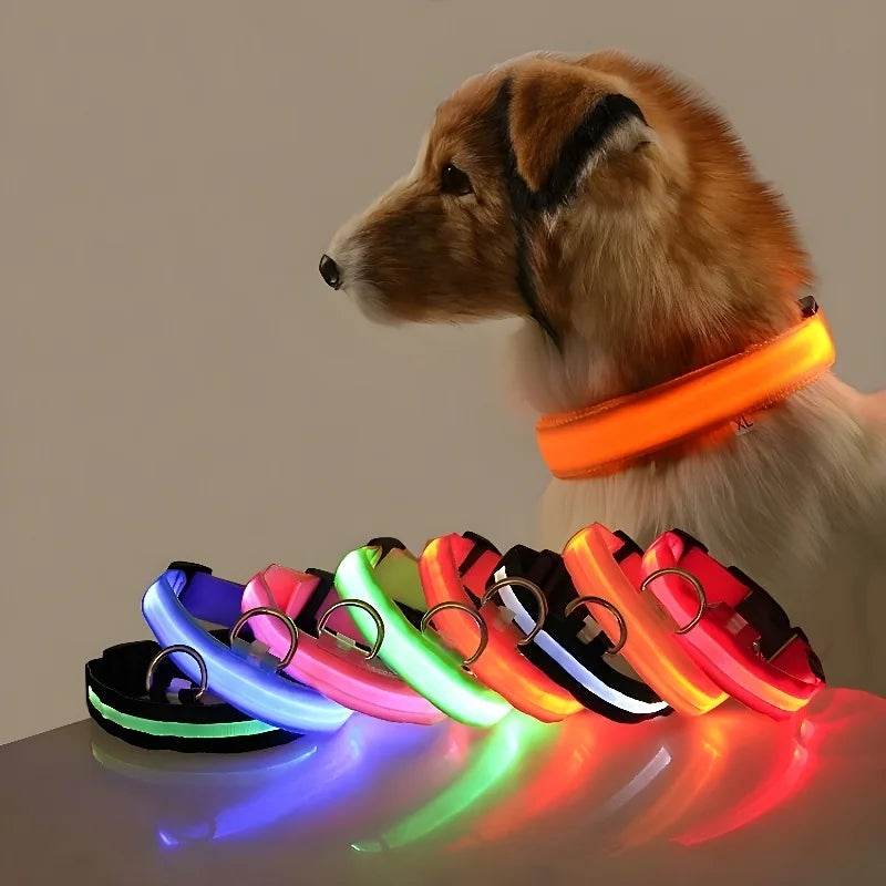 Pet Collar Nylon LED Night