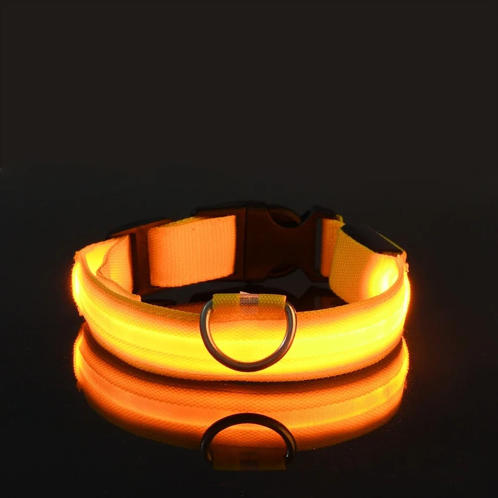 Pet Collar Nylon LED Night