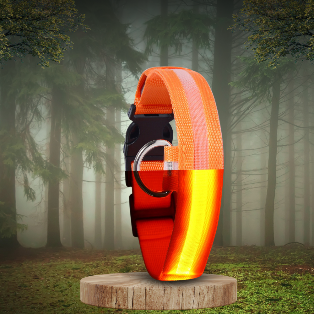 Pet Collar Nylon LED Night